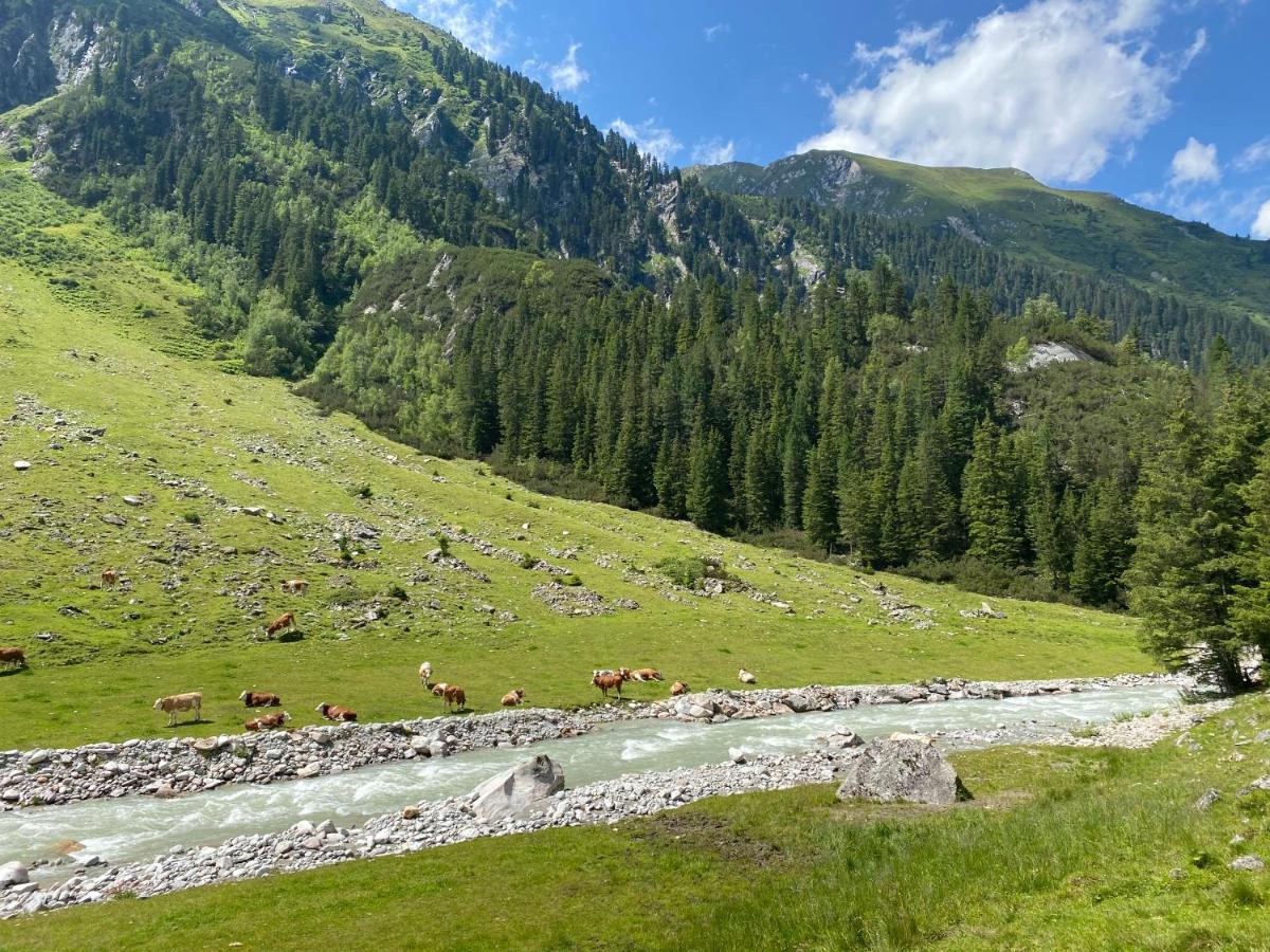 Penthaus Kitzebueheler Alpen Daire Neukirchen am Großvenediger Dış mekan fotoğraf