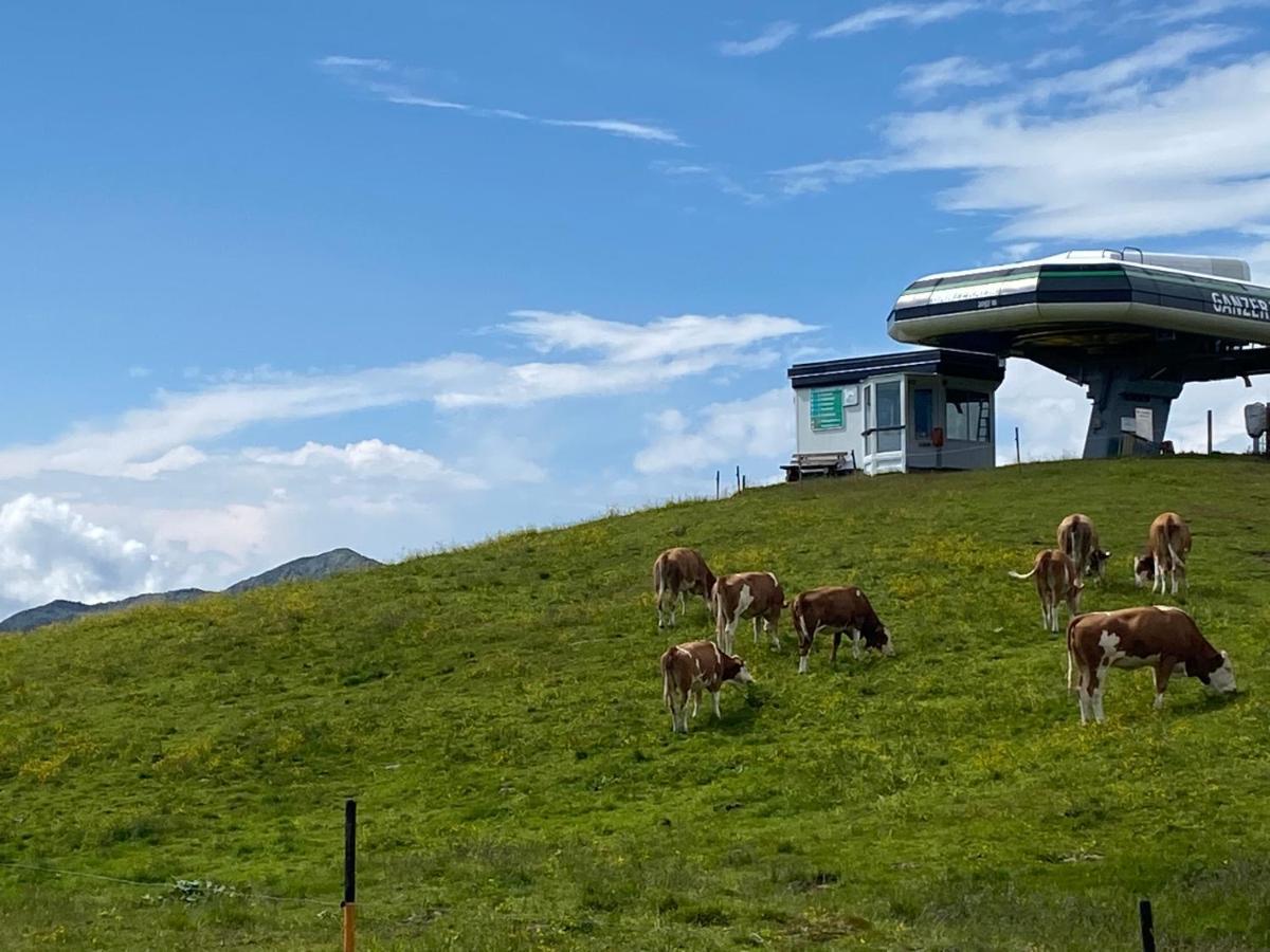 Penthaus Kitzebueheler Alpen Daire Neukirchen am Großvenediger Dış mekan fotoğraf
