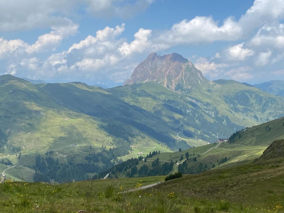 Penthaus Kitzebueheler Alpen Daire Neukirchen am Großvenediger Dış mekan fotoğraf